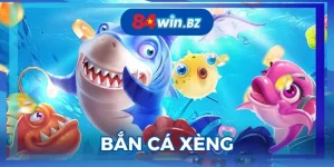 ban-ca-xeng
