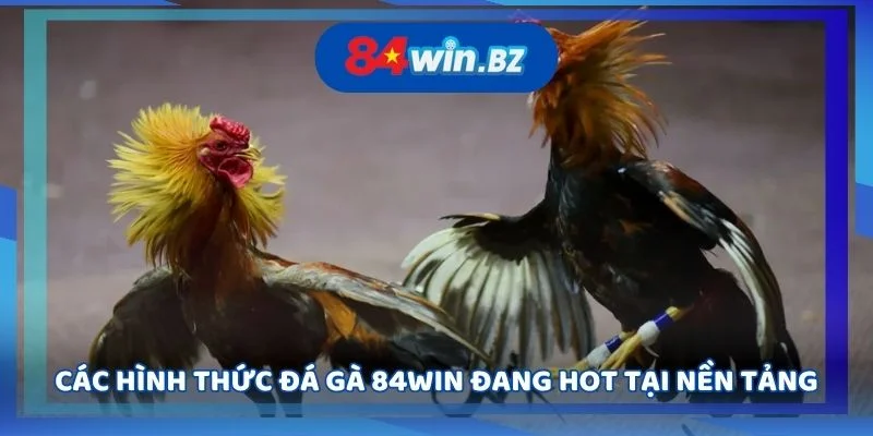 cac-hinh-thuc-da-ga-84win-dang-hot-tai-nen-tang
