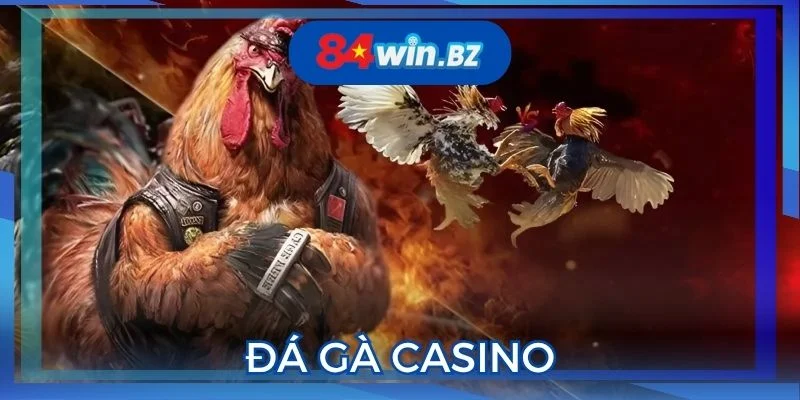 da-ga-casino-anh-dai-dien