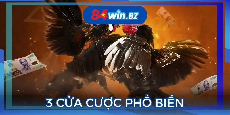 gioi-thieu-3-cua-cuoc-pho-bien-tai-nha-cai