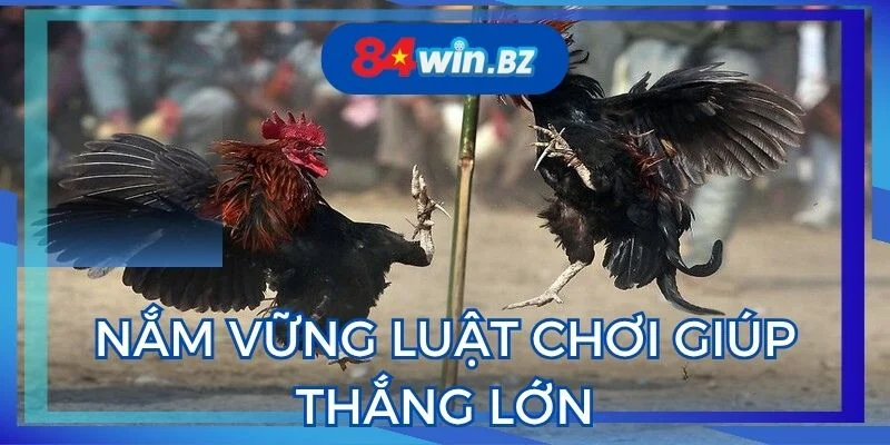 nam-vung-luat-choi-giup-thang-lon-tai-da-ga-84win