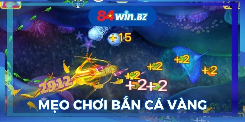 tham-khao-meo-choi-ban-ca-vang-tai-nha-cai-uy-tin