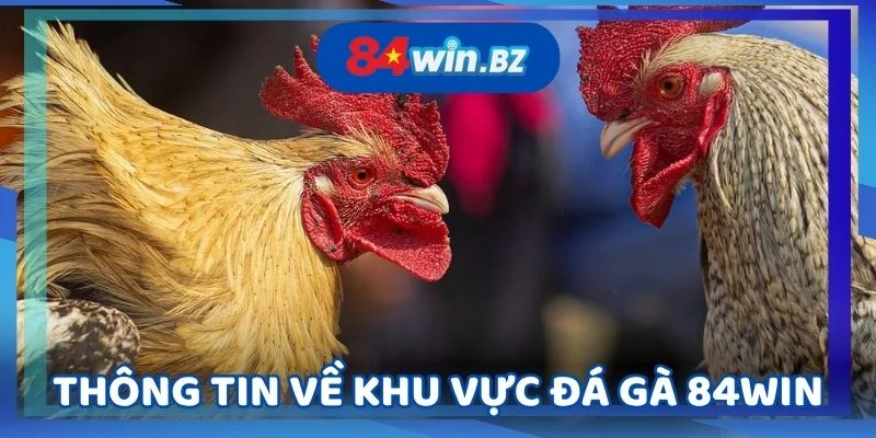 thong-tin-ve-khu-vuc-da-ga-84win