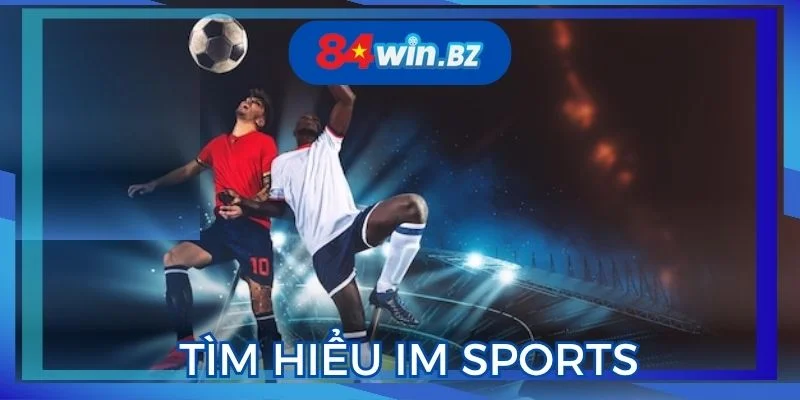 tim-hieu-thong-tin-co-ban-ve-im-sports