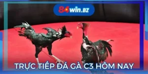 truc-tiep-da-ga-c3-hom-nay-anh-dai-dien
